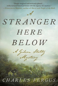 Title: A Stranger Here Below: A Gideon Stoltz Mystery, Author: Charles Fergus