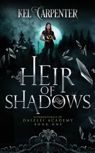 Heir of Shadows (Daizlei Academy #1)