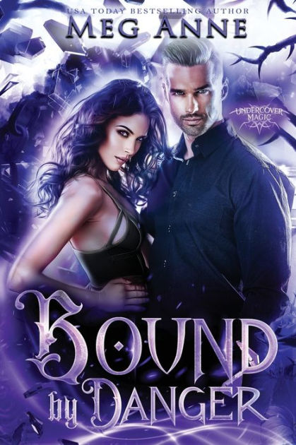 Bound by Danger by Meg Rooks, Paperback | Barnes & Noble®