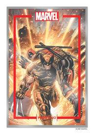 Title: THE MARVEL PORTFOLIO OF TYLER KIRKHAM - X-MEN, Author: Tyler Kirkham