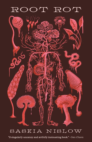 Root Rot