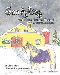 Title: SandyBoy and the Christmas Blizzard (A SandyBoy Adventure), Author: Cindi Flow