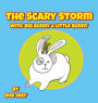 The Scary Storm with Big Bunny & Little Bunny