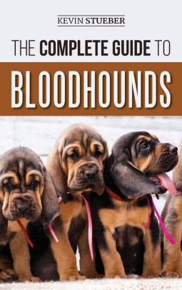 boerner's bloodhounds