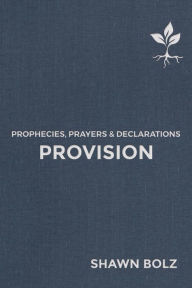 Free english books to download Provision: Prophecies, Prayers & Declarations 9781952421013 by Shawn Bolz (English literature) PDB MOBI PDF