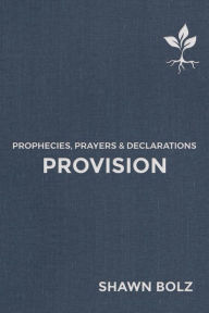 Bestseller books pdf download Provision: Prophecies, Prayers & Declarations ePub