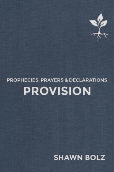 Provision: Prophecies, Prayers & Declarations