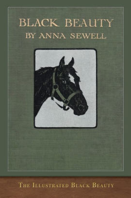 The Illustrated Black Beauty 100 Illustrations By Anna Sewell Maude Scrivener Paperback Barnes Noble