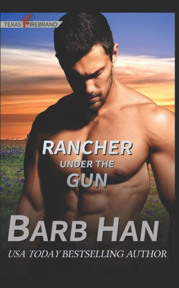 Rancher under the Gun