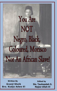Title: You Are NOT Negro, Black, Coloured, Morisco Nor An African Slave!, Author: Kudjo Adwo El