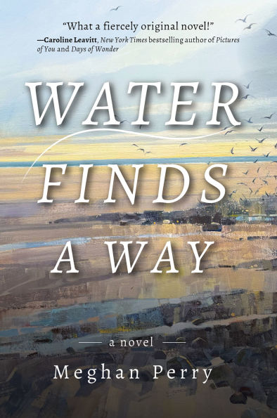 Water Finds a Way novel