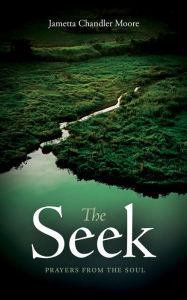 Title: The Seek, Author: Jametta Chandler Moore