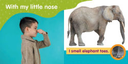 Alternative view 2 of With My Little Nose (My First Senses Book)