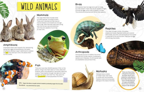 Animals of the World