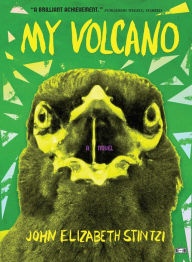 Download free e-book in pdf format My Volcano PDF CHM RTF (English literature)