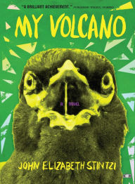 Title: My Volcano, Author: John Elizabeth Stintzi