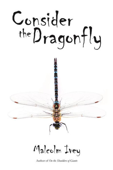 Consider the Dragonfly