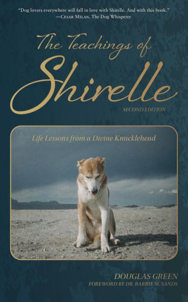 The Teachings of Shirelle: Life Lessons from a Divine Knucklehead