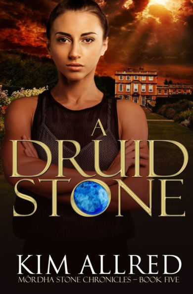 A Druid Stone: A Time Travel Romance Adventure