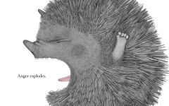 Alternative view 24 of What Feelings Do When No One's Looking