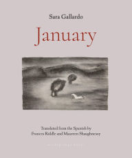Title: January, Author: Sara Gallardo