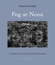 Ebook free download pdf thai Fog at Noon 9781953861887 by Tomas Gonzalez, Andrea Rosenberg