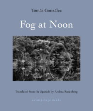 Title: Fog at Noon, Author: Tomas Gonzalez