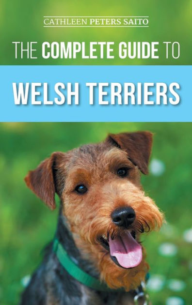 The Complete Guide to Welsh Terriers: Choosing, Preparing for, Training ...