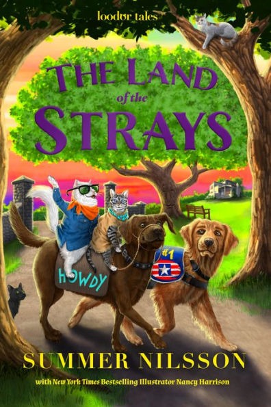 The Land of The Strays (Loodor Tales)