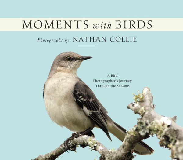 Moments with Birds: A Bird Photographer's Journey Through the Seasons