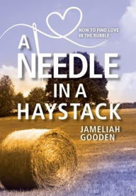 Title: A Needle in a Haystack: How to Find Love in the Rubble, Author: Jameliah Gooden