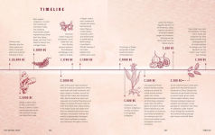 Alternative view 4 of The Nutmeg Trail: Recipes and Stories Along the Ancient Spice Routes