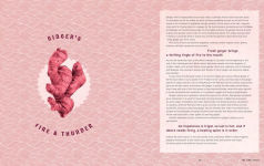 Alternative view 5 of The Nutmeg Trail: Recipes and Stories Along the Ancient Spice Routes