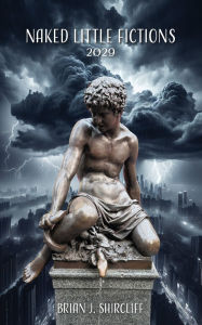Title: Naked Little Fictions 2029: 2029, Author: Brian J Shircliff