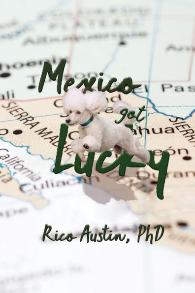 Mexico Got Lucky: Updated Edition