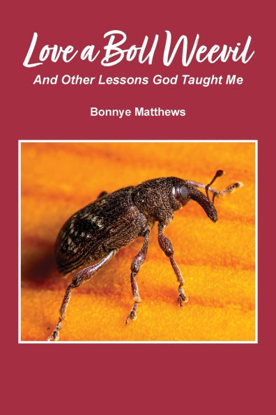 Love a Boll Weevil: And Other Lessons God Taught Me