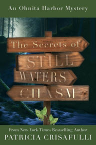 The Secrets of Still Waters Chasm: Book 2 - Ohnita Harbor Mystery Series