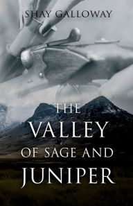 Free download of ebooks in pdf format The Valley of Sage and Juniper  by Shay Galloway, Shay Galloway 9781955062602 English version