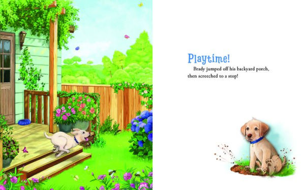 Brady and the Backyard Monster