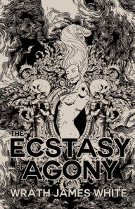 絶版　The Agony and the Ecstasy　IDEA 絶版 The Agony and the Ecstasy IDEA 絶版The Agony and the