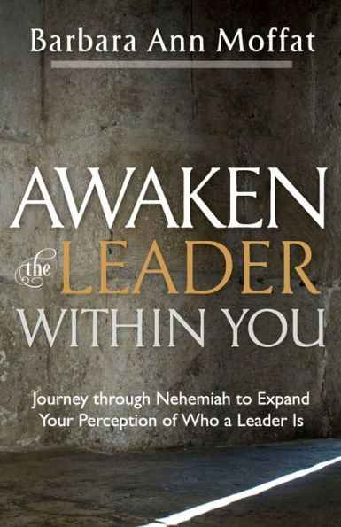 Awaken the Leader Within You: Journey through Nehemiah to Expand Your Perception of Who a Is