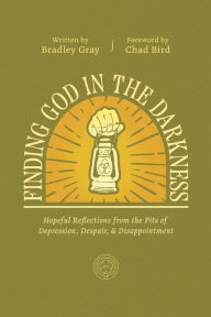 Title: Finding God in the Darkness: Hopeful Reflections from the Pit of Depression, Despair, and Disappointment, Author: Bradley Gray