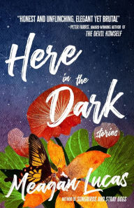 Free ebook book download Here in the Dark: Stories