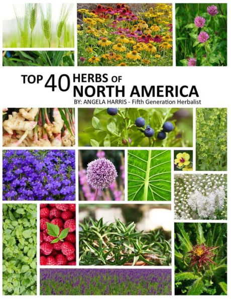 Top 40 Herbs of North America