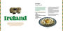Alternative view 2 of Super Natural Family International Cookbook: A Healthy and Playful Global Recipe Collection