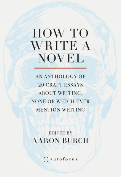 How to Write a Novel: An Anthology of 20 Craft Essays About Writing, None of Which Ever Mention Writing