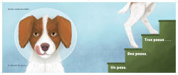 Alternative view 6 of Dexter: El perro que camina de pie