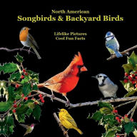 Title: North American Songbirds & Backyard Birds Kids Book: With Lifelike Pictures and Cool Fun Facts, Author: Billy Grinslott