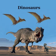 Title: Dinosaurs Kids Book: Great Way for Kids to Meet the Dinosaurs, Author: Billy Grinslott