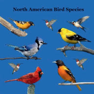 Title: North American Birds Species Kids Book: Lifelike Pictures and Cool Fun Facts, Author: Billy Grinslott